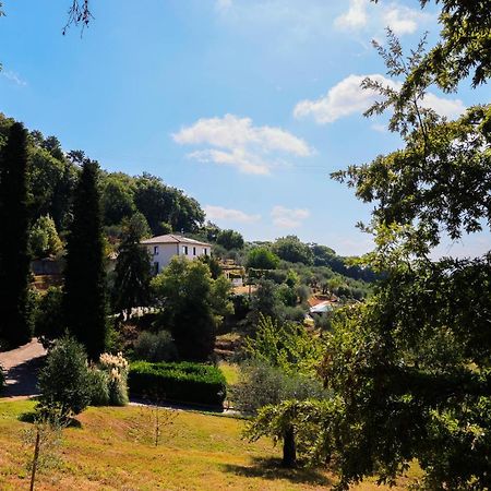 Agriturismo Terra Volonteri Μοντεκατίνι Τέρμε Εξωτερικό φωτογραφία