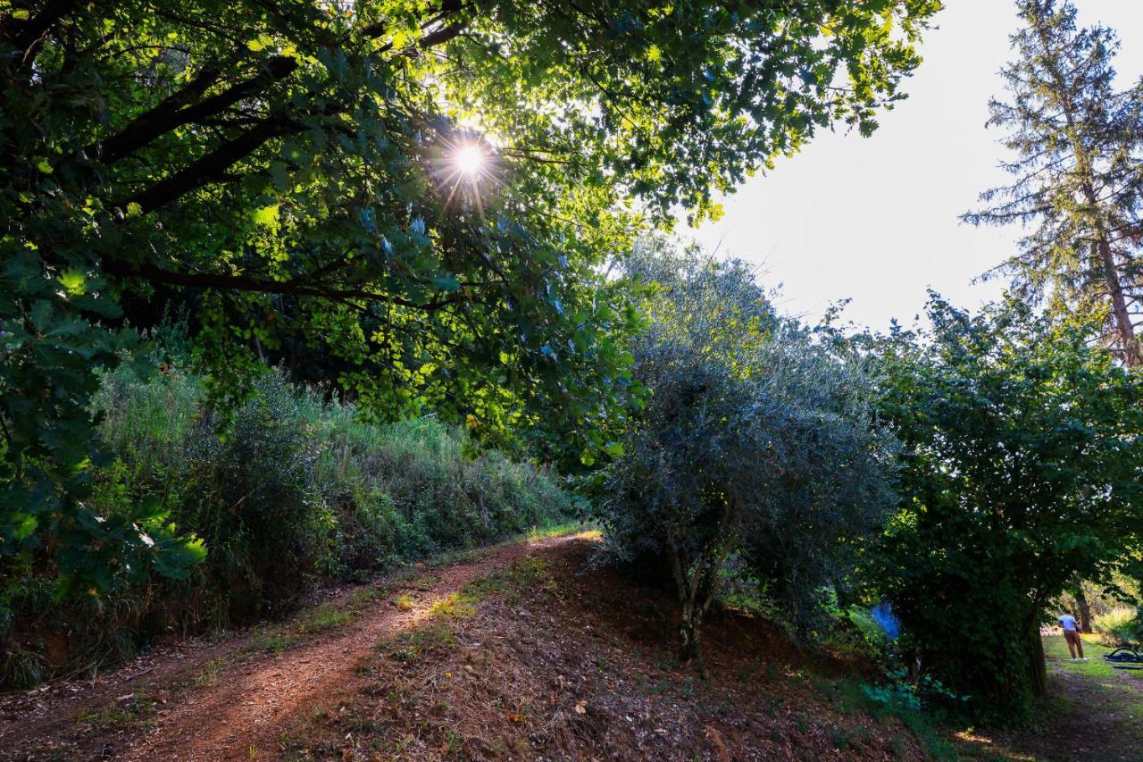Agriturismo Terra Volonteri Μοντεκατίνι Τέρμε Εξωτερικό φωτογραφία
