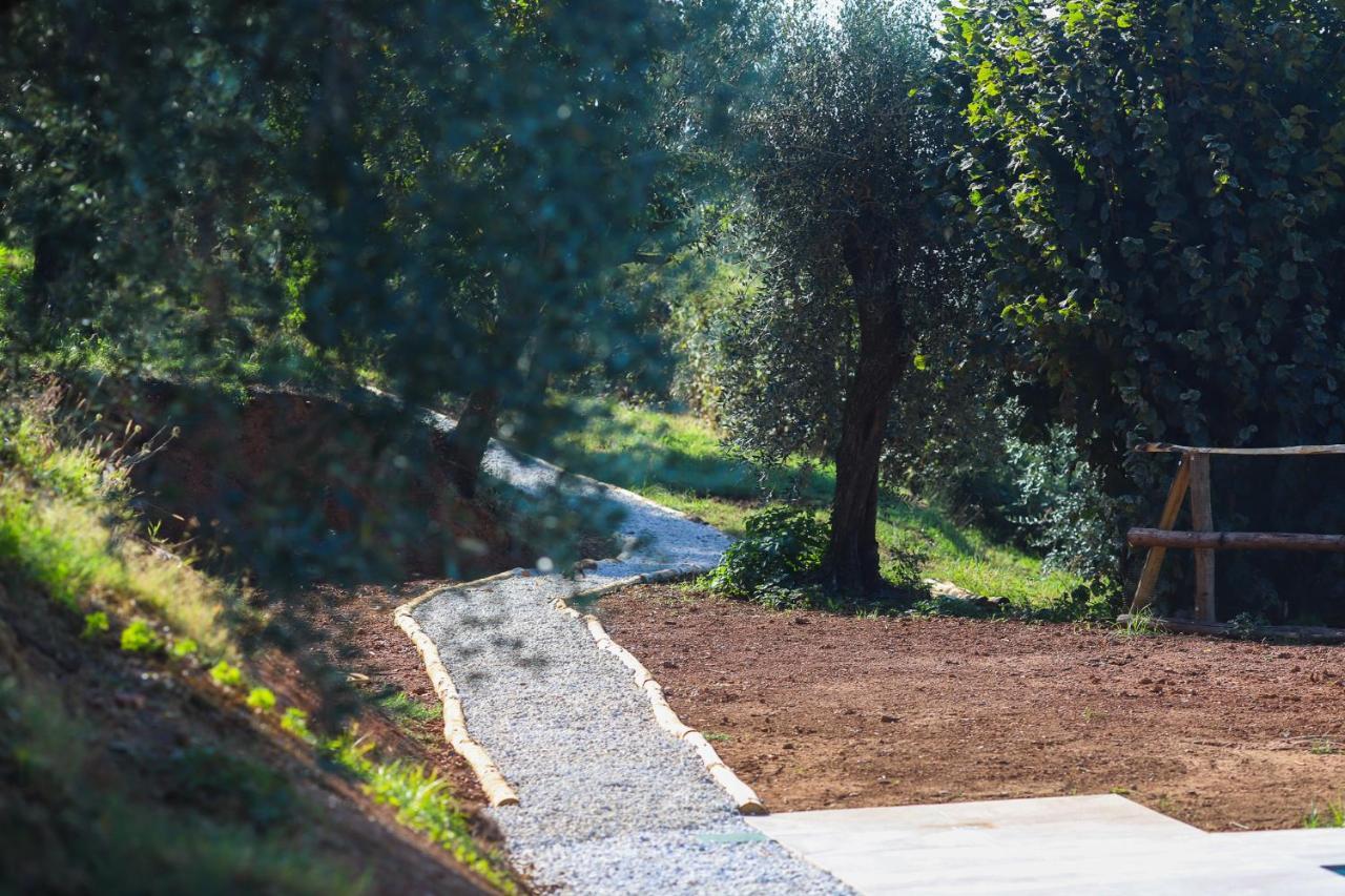 Agriturismo Terra Volonteri Μοντεκατίνι Τέρμε Εξωτερικό φωτογραφία