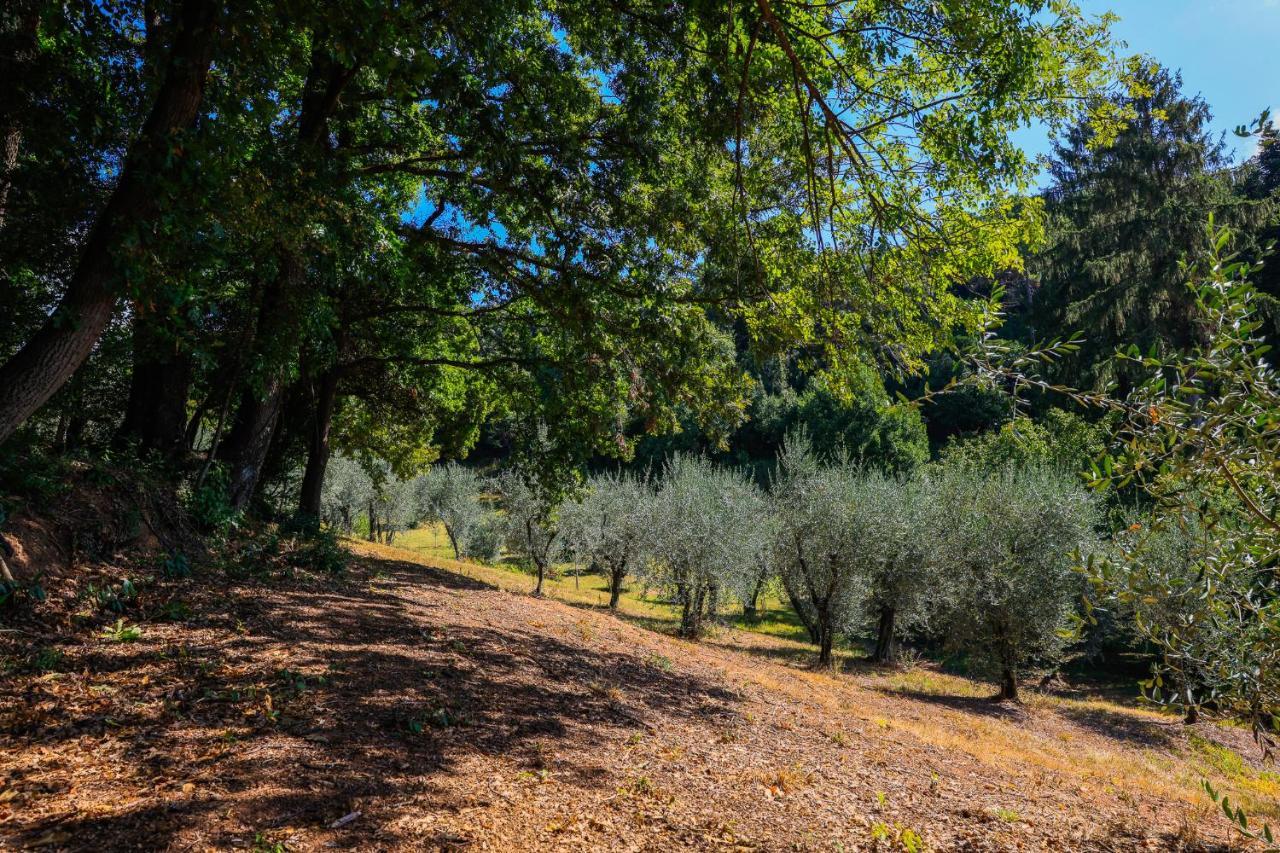 Agriturismo Terra Volonteri Μοντεκατίνι Τέρμε Εξωτερικό φωτογραφία