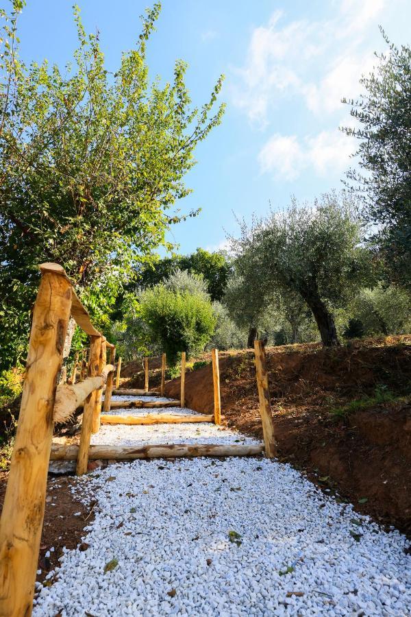 Agriturismo Terra Volonteri Μοντεκατίνι Τέρμε Εξωτερικό φωτογραφία